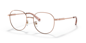1412 - Rose Gold with Clear Lenses