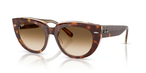141451 - Light Havana On Transparent Multicolor with Clear Gradient Brown Lenses