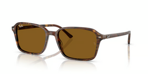 141833 - Transparent Fantasy Brown with B-15 Brown Lenses