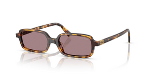 14L20I - Havana Havana with Light Purple Brown Lenses