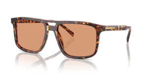 14O07V - Magma Tortoise with Orange Lenses