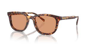 14O07V - Magma Tortoise with Orange Lenses