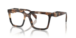 14P1O1 - Caramel Tortoise with Clear Lenses