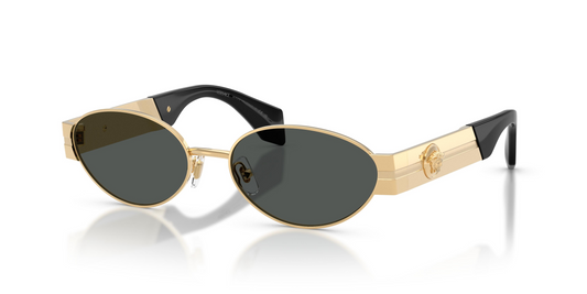 Versace VE2301 Sunglasses