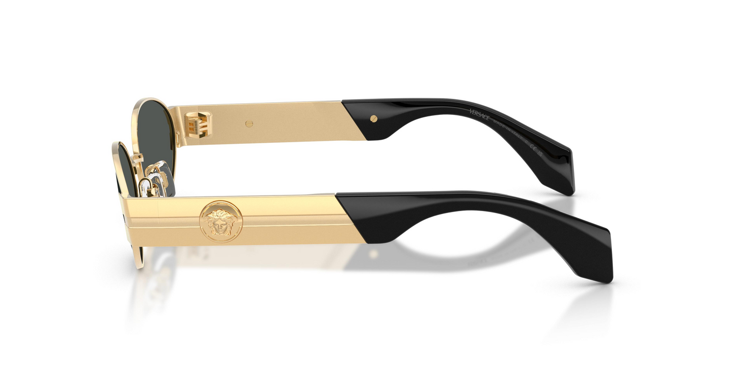 Versace VE2301 Sunglasses