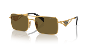 15N01T - Matte Gold with Dark Brown Lenses