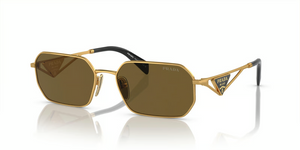 15N01T - Matte Gold with Dark Brown Lenses