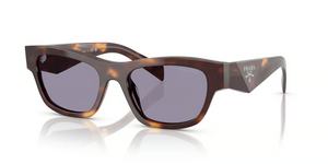15W03N - Classic Tortoise with Grey Lenses