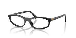 16K1O1 - Black with Clear Lenses
