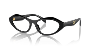 16K1O1 - Black with Clear Lenses