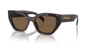 16N5Y1 - Briar Tortoise with Dark Brown Lenses