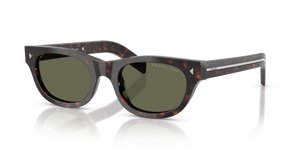 17N03R - Havana with Green Polarized Lenses