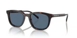 17N06A - Radica Tortoise with Dark Blue Lenses