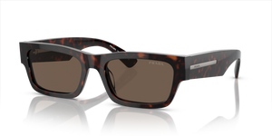 17N08T - Havana with Brown Lenses