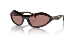 17N10D - Root Tortoise with Light Brown Lenses