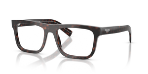 17N1O1 - Root Tortoise with Clear Lenses