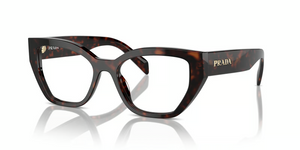 17N1O1 - Root Tortoise with Clear Lenses