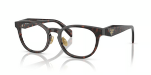 17N1O1 - Matte Green/Pink with Clear Lenses