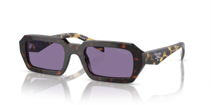 17N50B - Havana with Violet Mirror Silver Internal Lenses