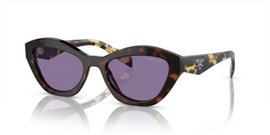 17N50B - Havana with Violet Mirror Internal Silver Lenses
