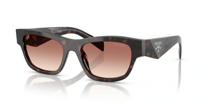17N50L - Root Tortoise with Light Brown Gradient Bordeaux Lenses