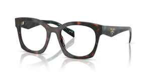 18Z1O1 - Root Tortoise with Clear Lenses