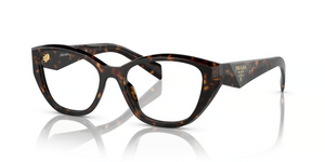 19J1O1 - Tortoise with Clear Lenses
