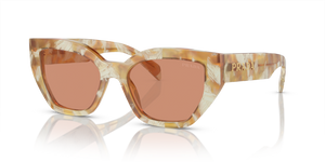 19N20D - Desert Tortoise with Brown Lenses