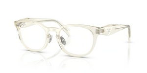 19X1O1 - Matte Grey/Green with Clear Lenses
