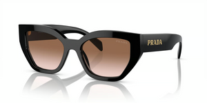 1AB0A6 - Black with Brown Gradient Lenses