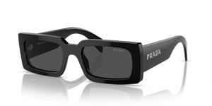 1AB5S0 - Black with Dark Grey Lenses