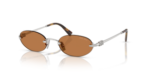 1BC90Q - Silver with Brown Lenses