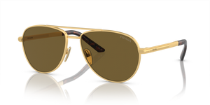 1BK01T - Matte Gold with Dark Brown Lenses