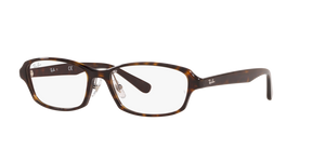 2012 - Dark Havana with Clear Lenses