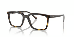 2012 - Havana with Clear Lenses