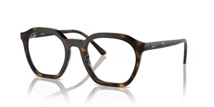 2012 - Havana with Clear Lenses