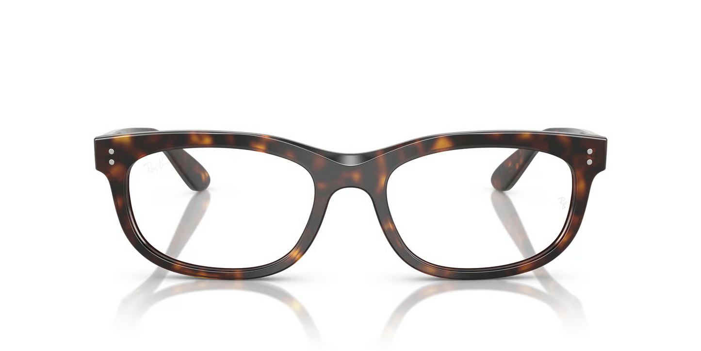 Ray-Ban Optical RX5489F Balorette Eyeglasses