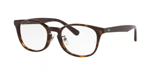 2012 - Dark Havana with Clear Lenses