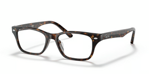 2012 - Dark Havana with Clear Lenses
