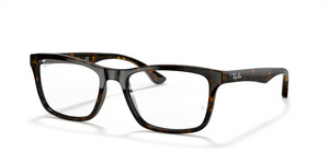 2012 - Dark Havana with Clear Lenses