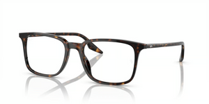 2012 - Havana with Clear Lenses