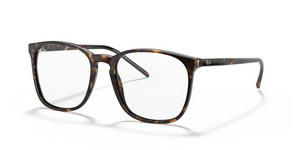 2012 - Havana with Clear Lenses