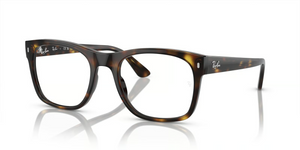 2012 - Havana with Clear Lenses