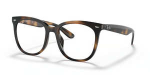 2012 - Havana with Clear Lenses