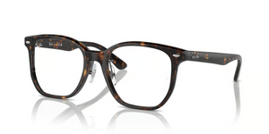 2012 - Havana with Clear Lenses