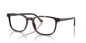 2012 - Havana Grey with Clear Lenses
