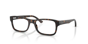 2012 - Havana with Clear Lenses
