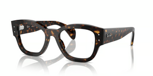 2012 - Havana with Clear Lenses