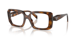 20D1O1 - Juniper Tortoise with Clear Lenses