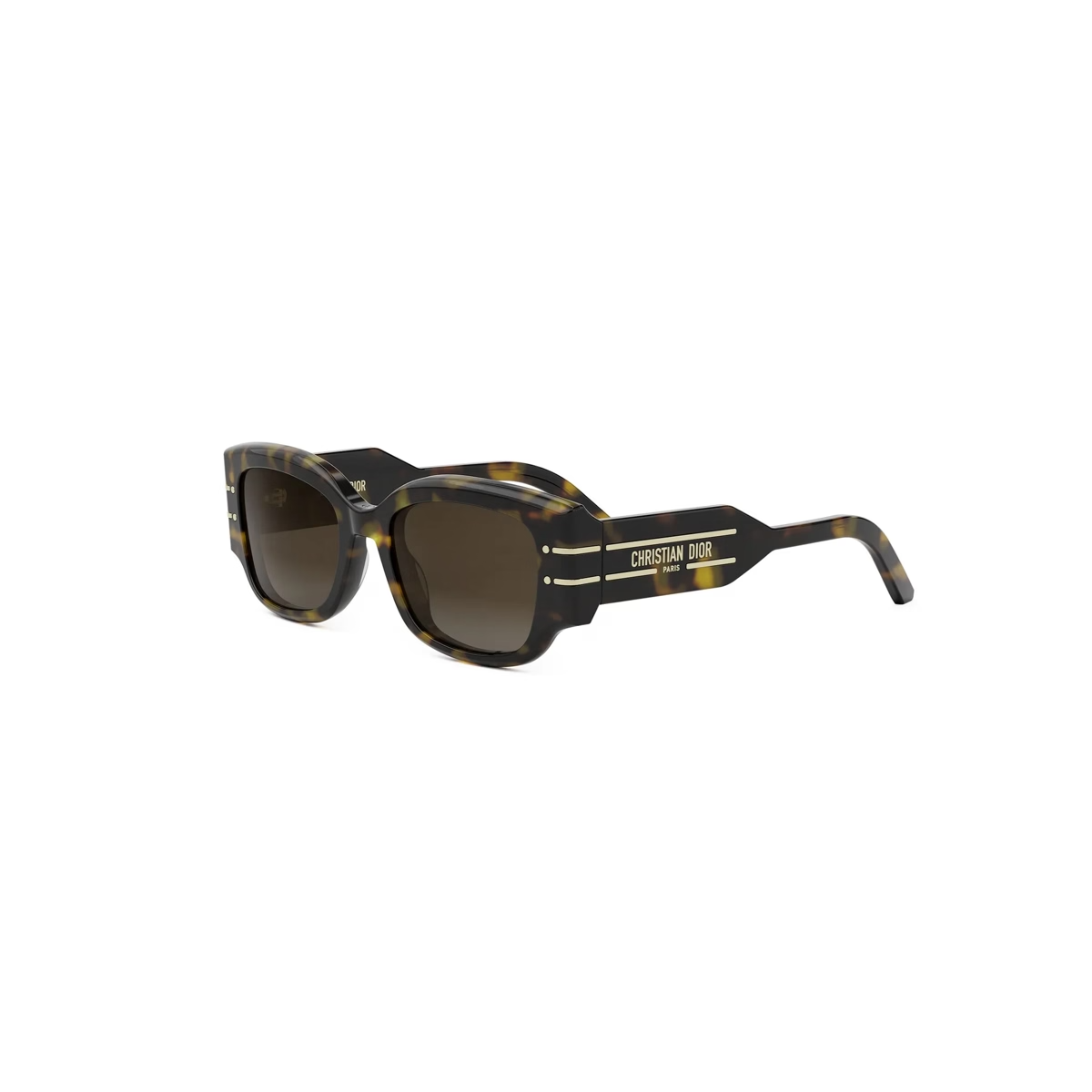 Dior DiorSignature S13I CD40188I Sunglasses – Lux Eyewear